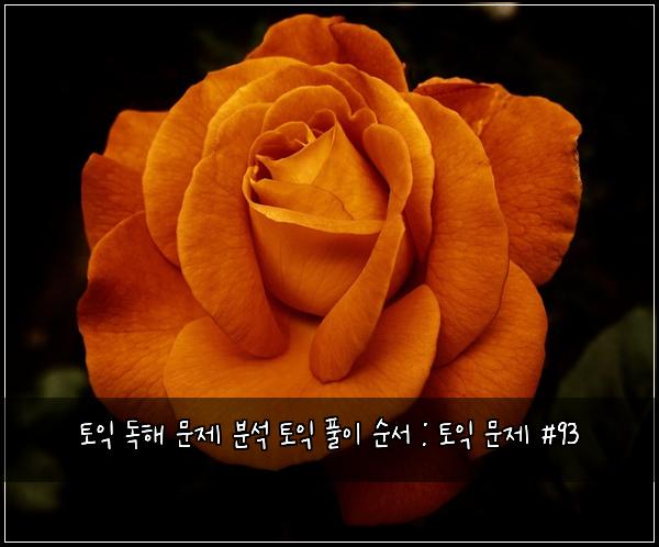토익 독해 문제 분석 토익 풀이 순서 : 토익 문제 #93