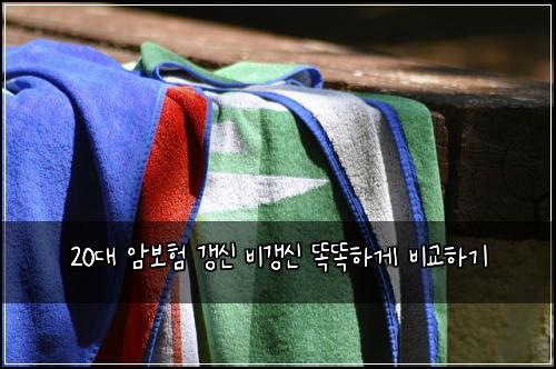 20대 암보험 갱신 비갱신 똑똑하게 비교하기