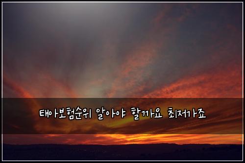 태아보험순위 알아야 할까요 최저가죠