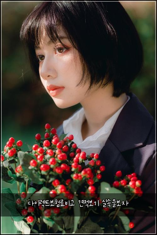 다이렉트보험료비교 견적보기 실속을보자