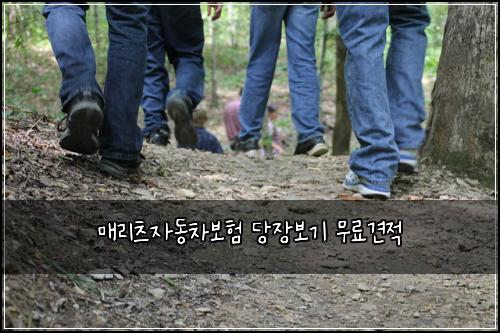 매리츠자동차보험 당장보기  무료견적