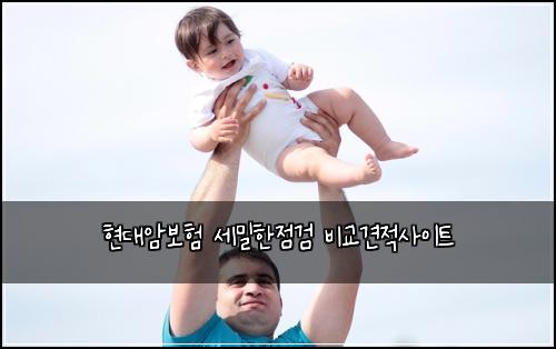 현대암보험 세밀한점검  비교견적사이트
