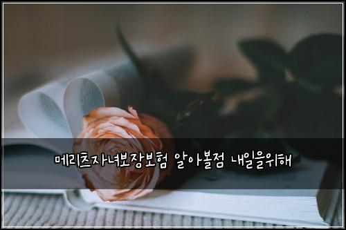 메리츠자녀보장보험 알아볼점  내일을위해