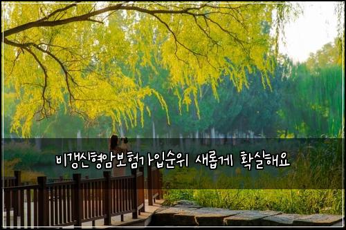 비갱신형암보험가입순위 새롭게 확실해요