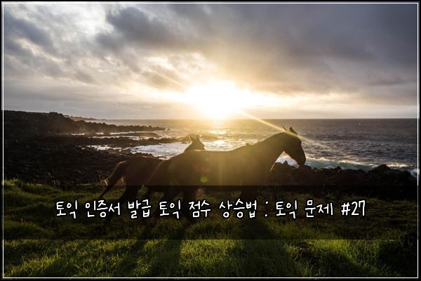 토익 인증서 발급 토익 점수 상승법 : 토익 문제 #27
