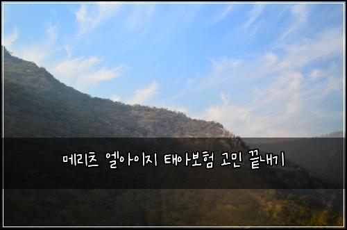 메리츠 엘아이지 태아보험 고민 끝내기
