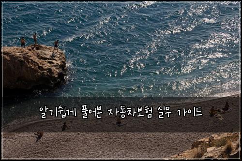 알기쉽게 풀어본 자동차보험 실무 가이드
