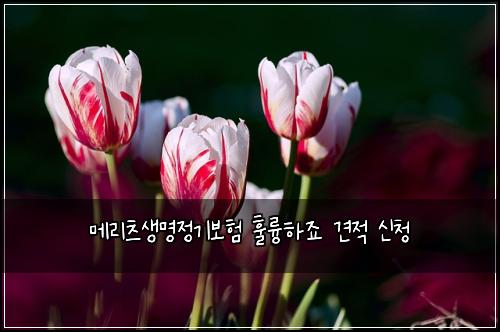메리츠생명정기보험 훌륭하죠  견적 신청