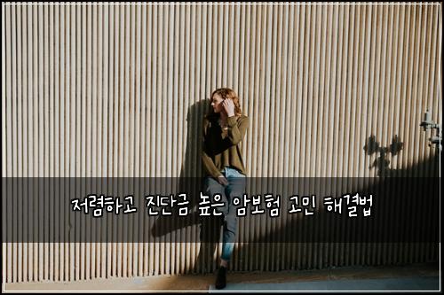 저렴하고 진단금 높은 암보험 고민 해결법