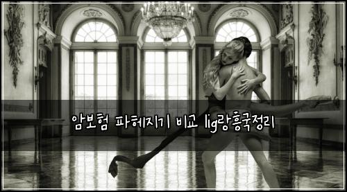 암보험 파헤지기  비교 lig랑흥국정리