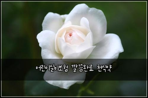 어린이실비보험 깔끔완료  천식약