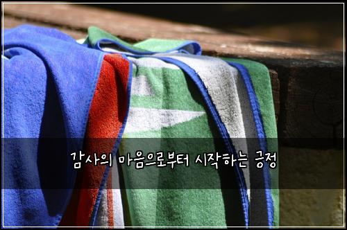 감사의 마음으로부터 시작하는 긍정