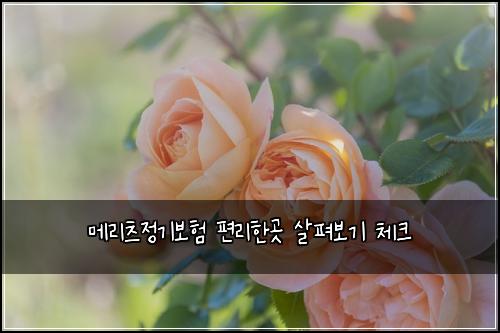 메리츠정기보험 편리한곳  살펴보기 체크