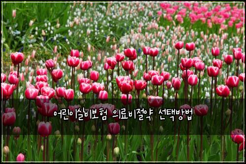 ์ด๋ฆฐ์ด์ค๋น๋ณดํ ์๋ฃ๋น์ ์ฝ ์ ํ๋ฐฉ๋ฒ