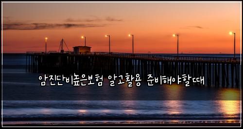 암진단비높은보험 알고활용  준비해야할때
