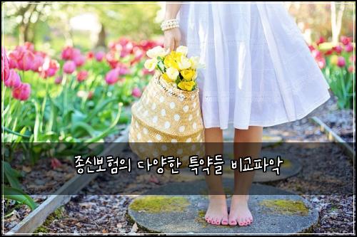 종신보험의 다양한 특약들 비교파악
