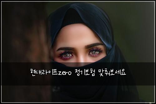 현대라이프zero 정기보험 맞춰보세요 