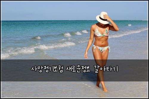 사망정기보험 새로운정보  갈아타기