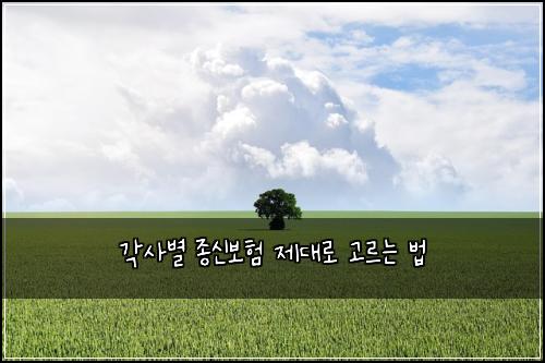 각사별 종신보험 제대로 고르는 법