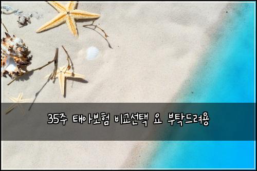 35주 태아보험 비교선택  요 부탁드려용