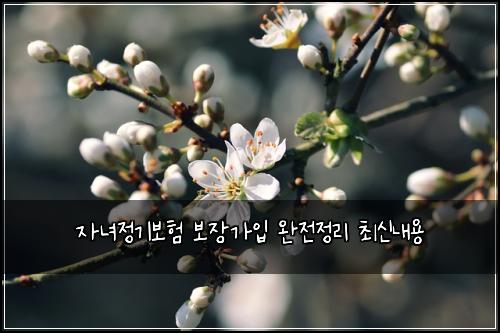 자녀정기보험 보장가입  완전정리 최신내용
