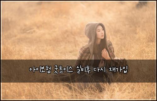 아이보험 굿초이스  실비후 다시 재가입