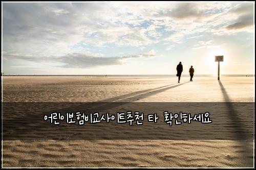 어린이보험비교사이트추천 타 확인하세요