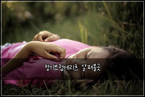 정기보험메리츠 살펴볼곳