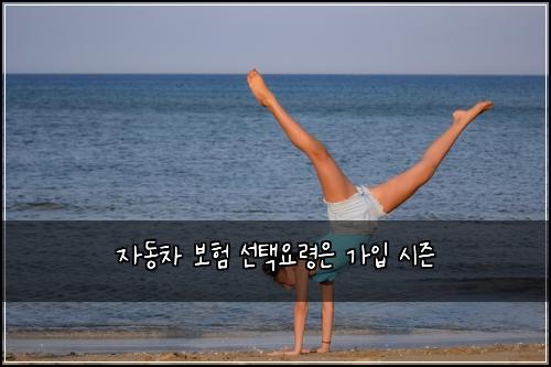 ์๋์ฐจ ๋ณดํ ์ ํ์๋ น์ ๊ฐ์
์์ฆ