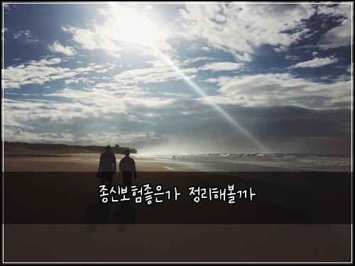 종신보험좋은가 정리해볼까