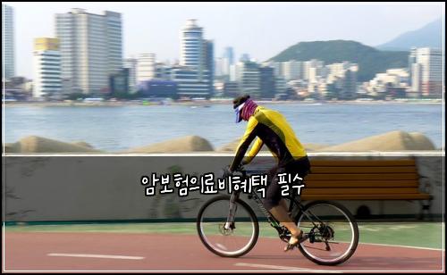 암보험의료비혜택 필수