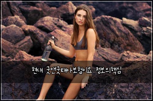 현대 굿앤굿태아보험이요 정보의핵심