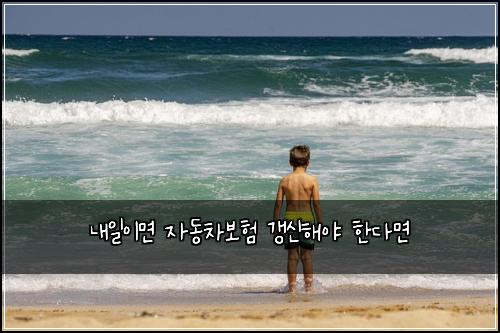 내일이면 자동차보험 갱신해야 한다면