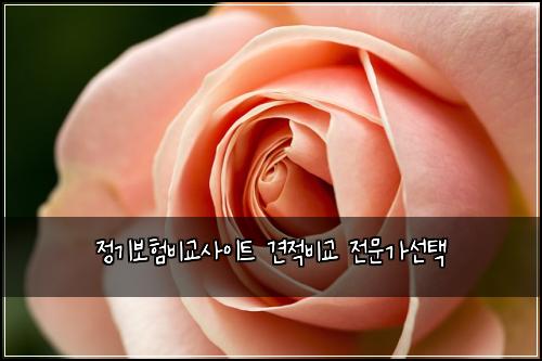 ์ ๊ธฐ๋ณดํ๋น๊ต์ฌ์ดํธ ๊ฒฌ์ ๋น๊ต ์ ๋ฌธ๊ฐ์ ํ