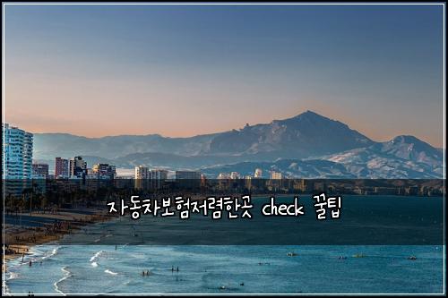 자동차보험저렴한곳 check 꿀팁