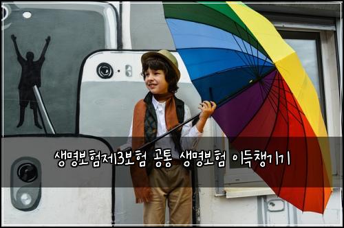 생명보험제3보험 공통 생명보험 이득챙기기