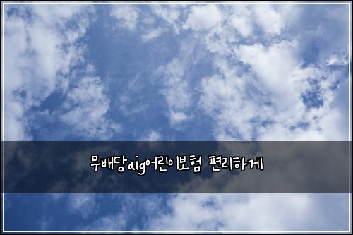 ๋ฌด๋ฐฐ๋นaig์ด๋ฆฐ์ด๋ณดํ ํธ๋ฆฌํ๊ฒ
