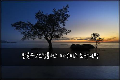 참좋은암보험플러스 빠른비교 보장혜택