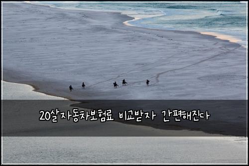 20살자동차보험료 비교받자 간편해진다