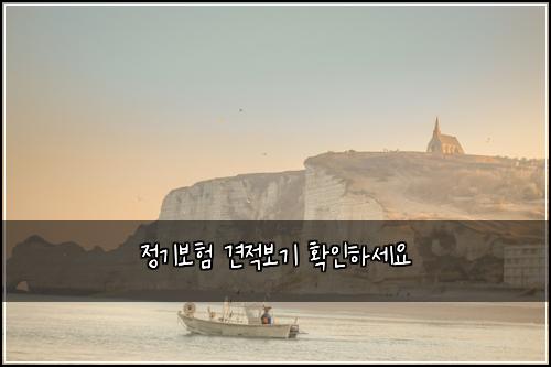정기보험 견적보기  확인하세요