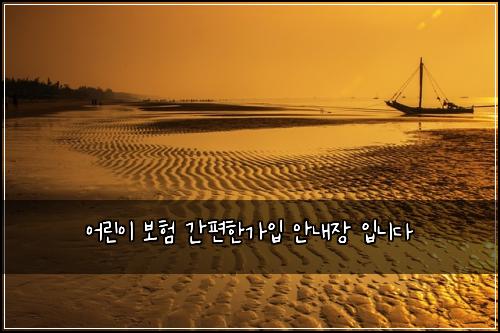 어린이 보험 간편한가입  안내장 입니다