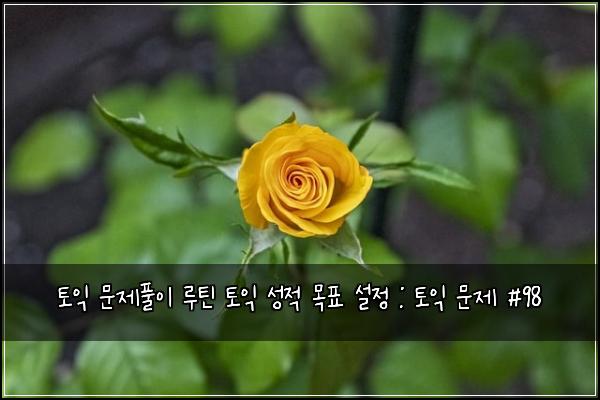 토익 문제풀이 루틴 토익 성적 목표 설정 : 토익 문제 #98