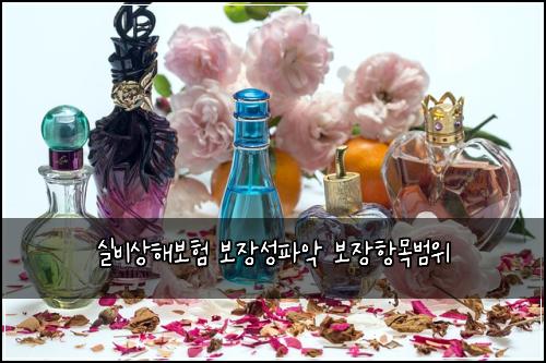 실비상해보험 보장성파악  보장항목범위