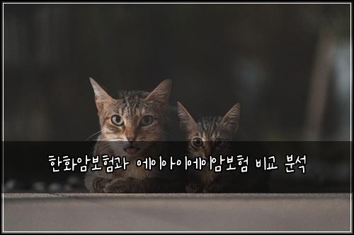 한화암보험과 에이아이에이암보험 비교 분석