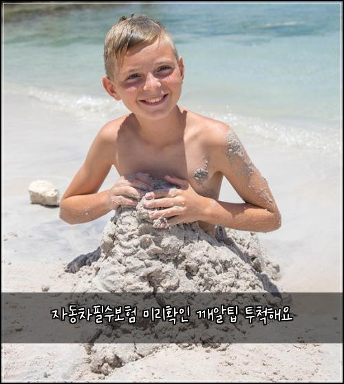 자동차필수보험 미리확인  깨알팁 투척해요