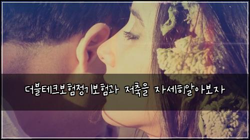 더블테크보험정기보험과 저축을 자세히알아보자