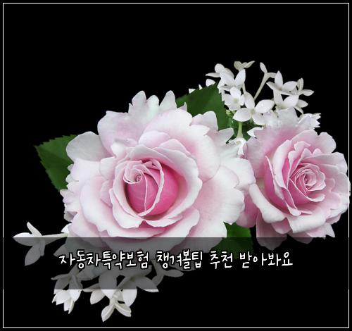 자동차특약보험 챙겨볼팁  추천 받아봐요