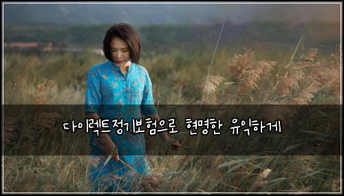 다이렉트정기보험으로 현명한 유익하게