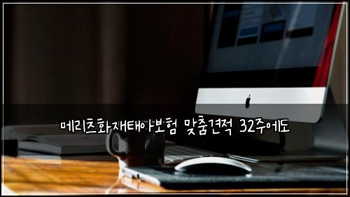 ๋ฉ๋ฆฌ์ธ ํ์ฌํ์๋ณดํ ๋ง์ถค๊ฒฌ์ 32์ฃผ์๋