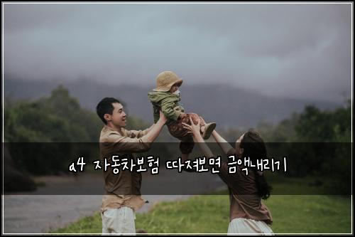 a4 자동차보험 따져보면  금액내리기